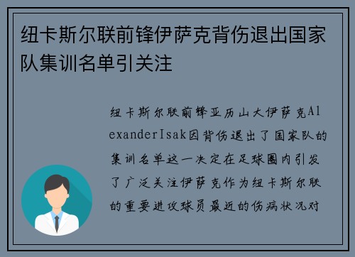 纽卡斯尔联前锋伊萨克背伤退出国家队集训名单引关注